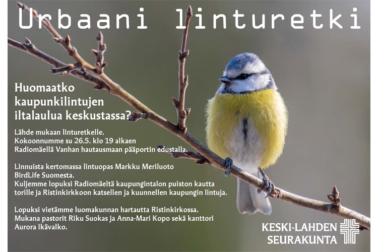 urbaani_linturetki_2019_XL.jpg