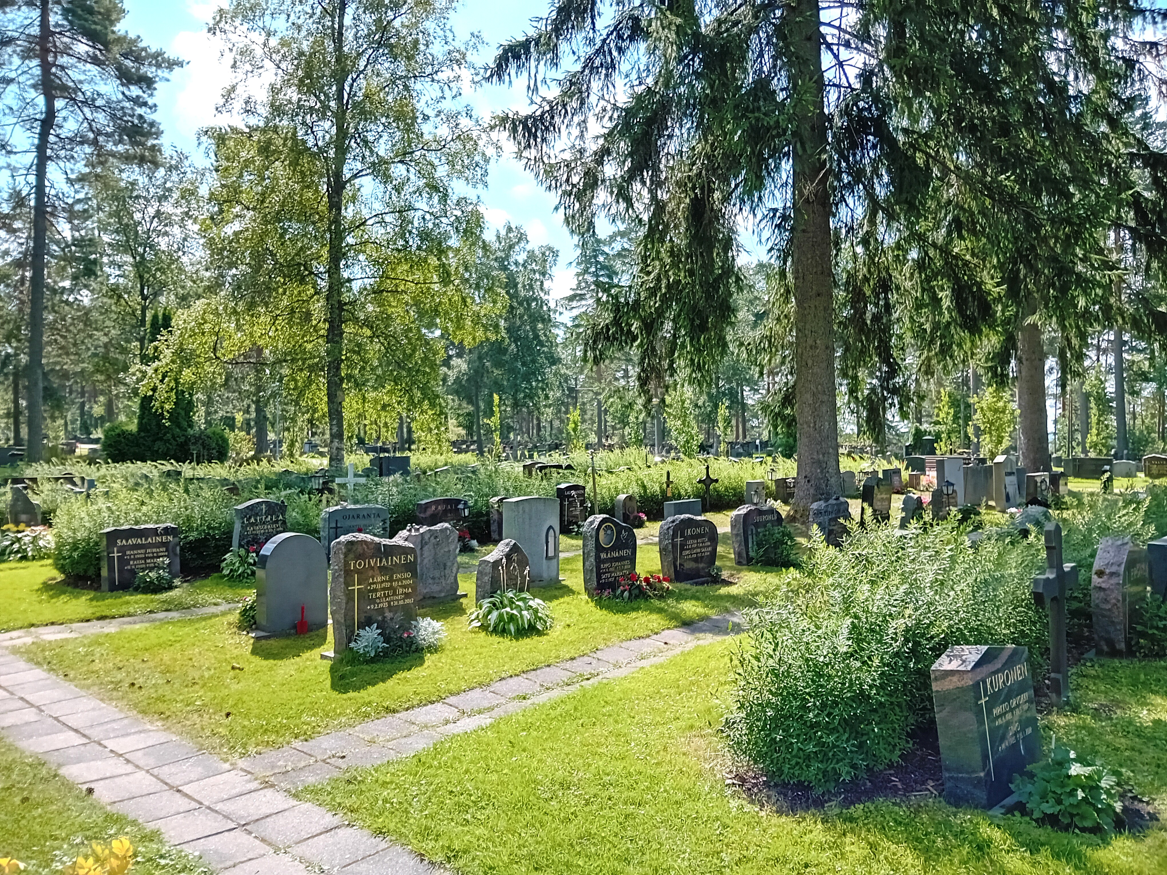 Hautakiviä nurmikolla. Laattakäytävät rivien välissä. Isoja puita rivien välissä.