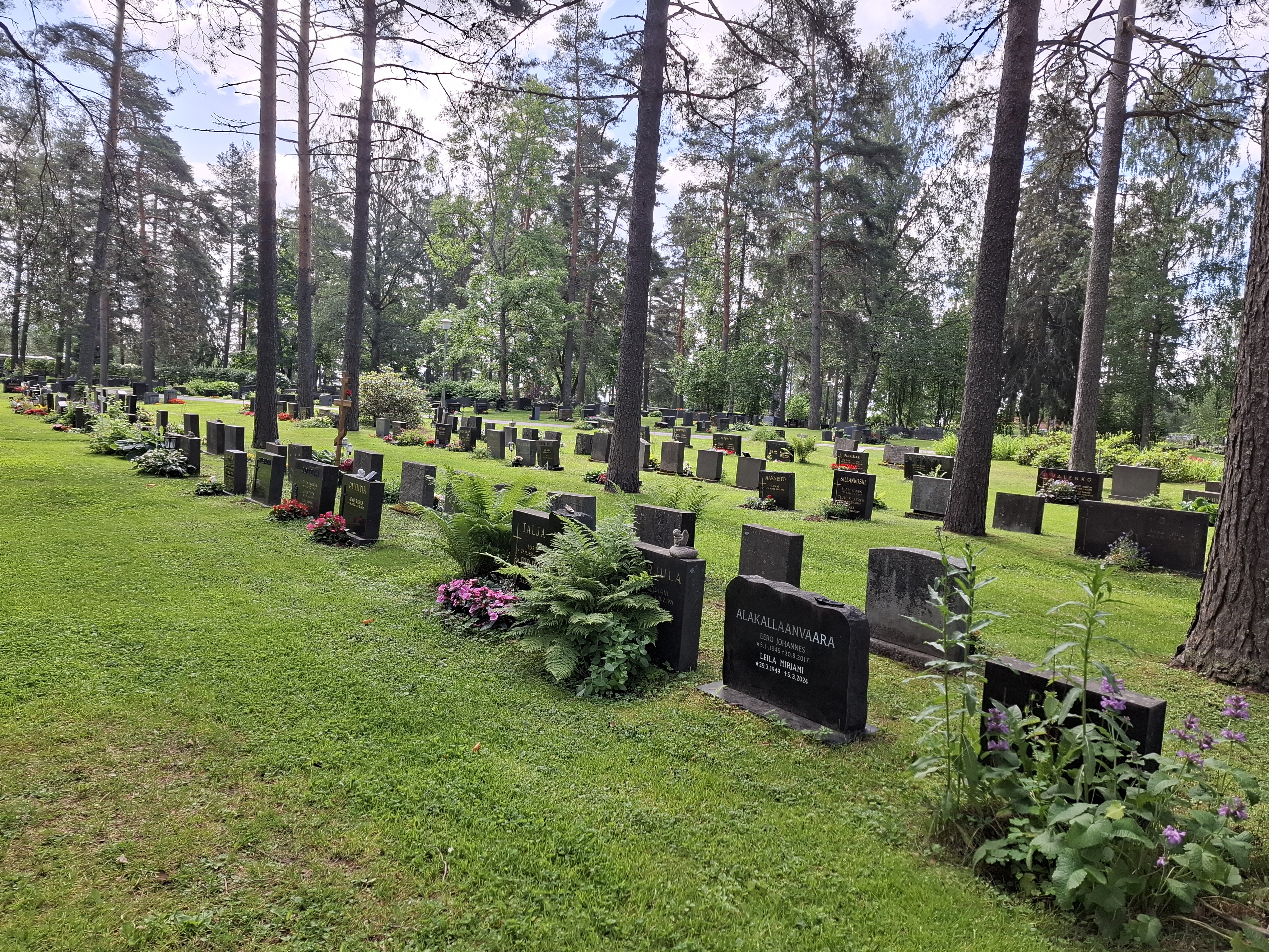 Hautamuistomerkkejä nurmikolla, taustalla puita.