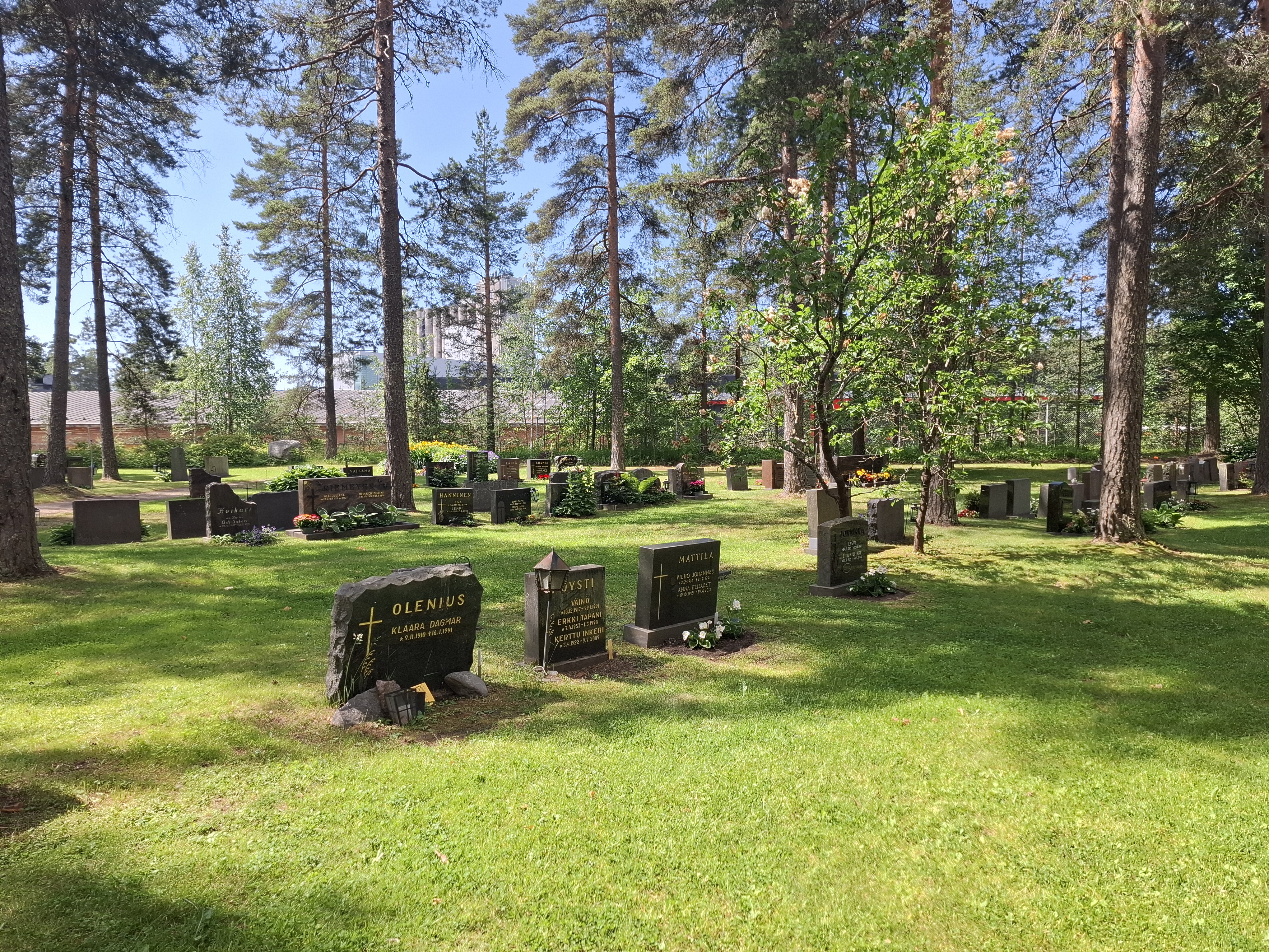 Hautamuistomerkkejä nurmikolla, taustalla puustoa.