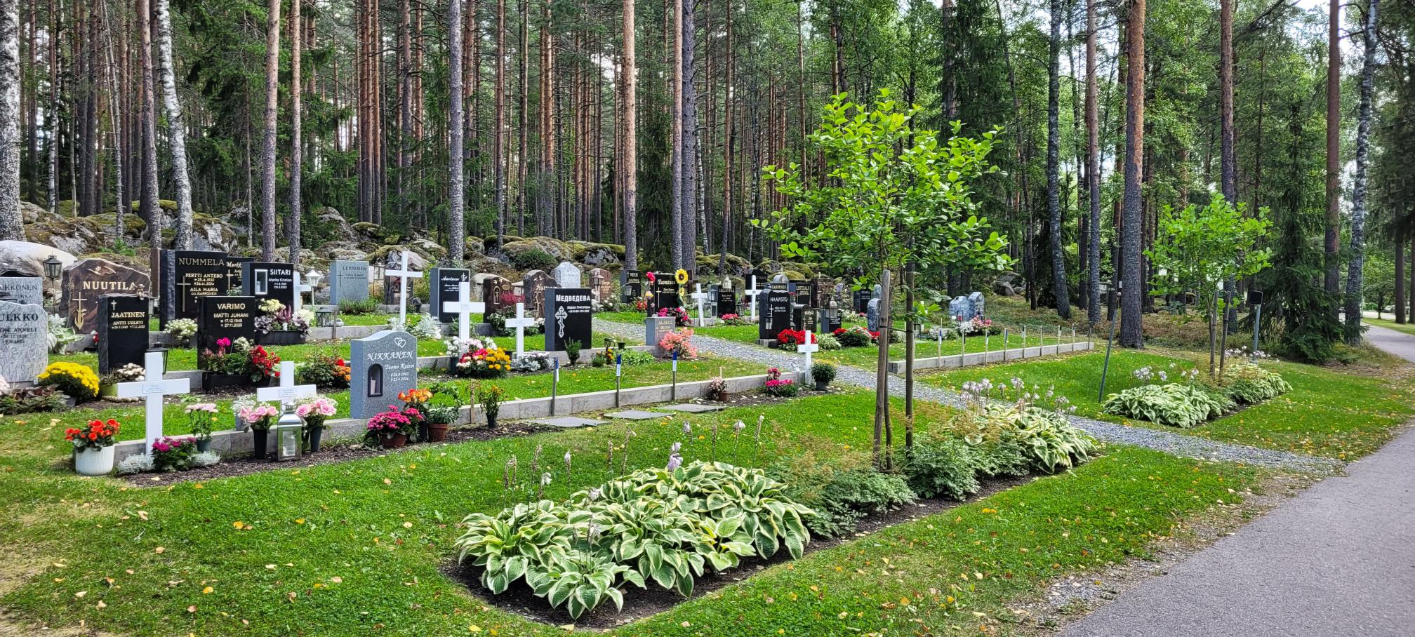 Betonipalkkien päälle aseteltuja hautamuistomerkkejä. Etualalla kuunliljaa ja pikkupuu.