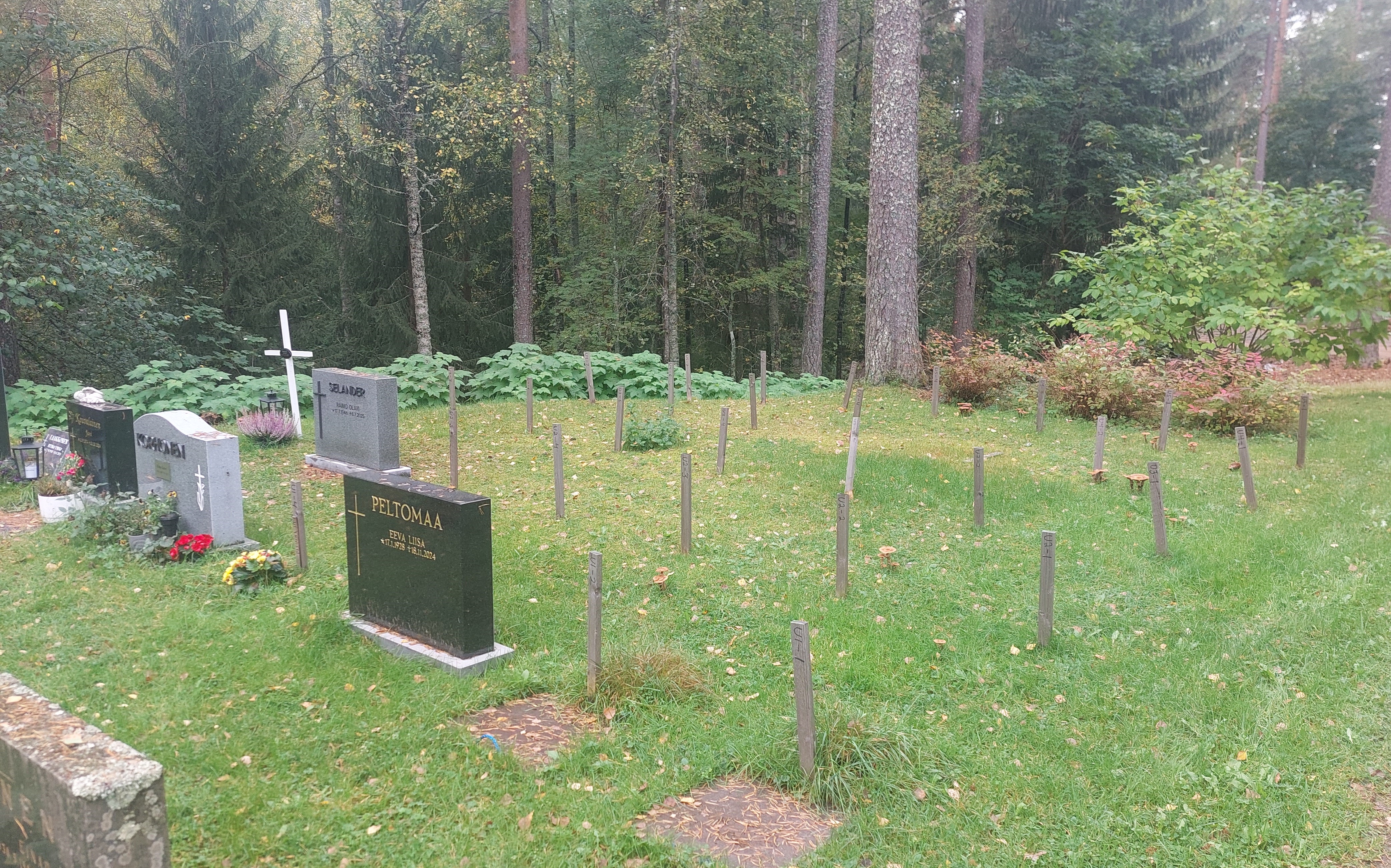 Hautamuistomerkkejä nurmikolla. Taustalla puita.
